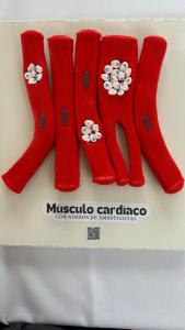 IMG-20241103-WA0028